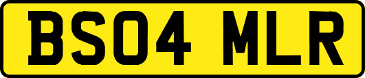 BS04MLR