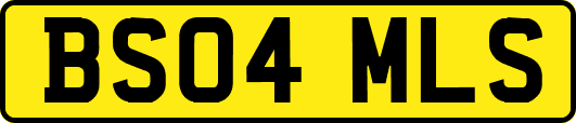 BS04MLS