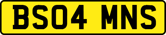 BS04MNS