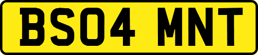 BS04MNT
