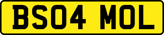 BS04MOL