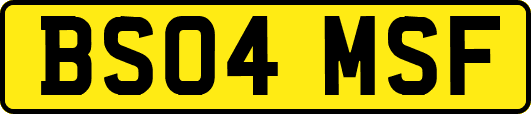 BS04MSF