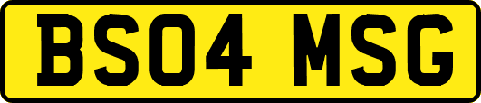 BS04MSG
