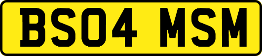 BS04MSM