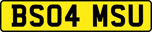 BS04MSU