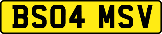 BS04MSV