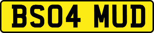 BS04MUD