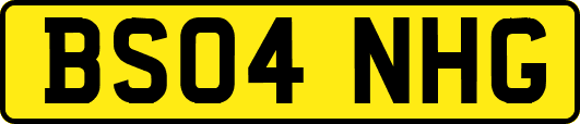 BS04NHG