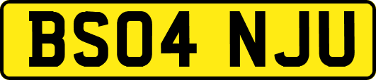 BS04NJU