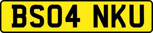 BS04NKU