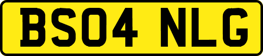 BS04NLG