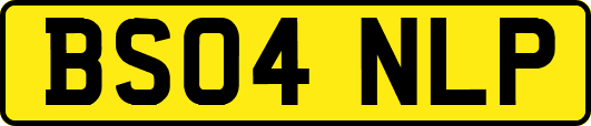 BS04NLP