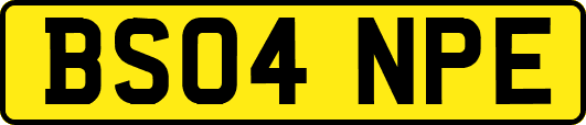 BS04NPE