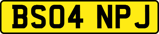 BS04NPJ
