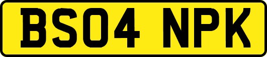 BS04NPK