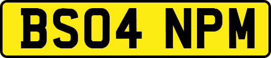 BS04NPM