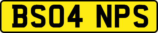 BS04NPS