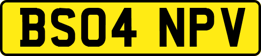 BS04NPV