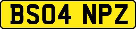 BS04NPZ