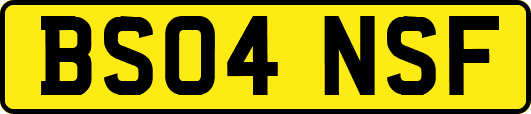 BS04NSF