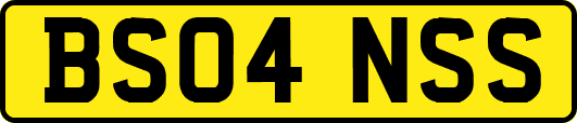 BS04NSS
