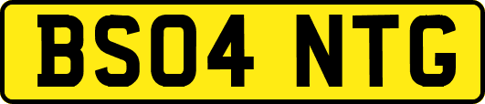 BS04NTG