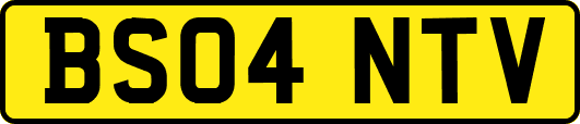 BS04NTV