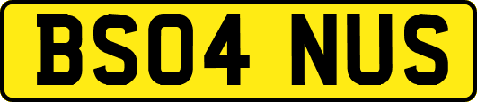 BS04NUS