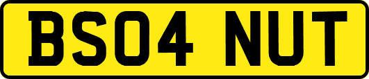 BS04NUT