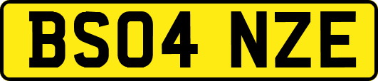BS04NZE