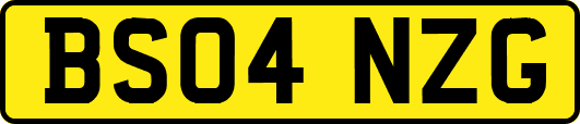 BS04NZG