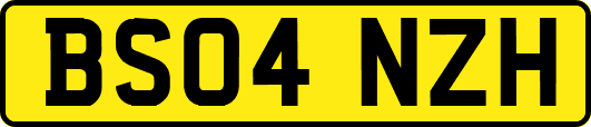 BS04NZH
