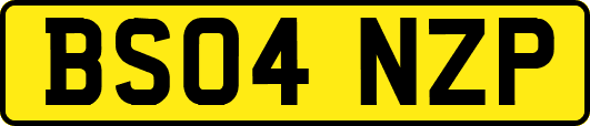 BS04NZP