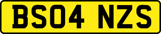 BS04NZS