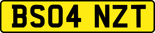 BS04NZT