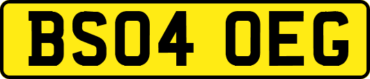 BS04OEG