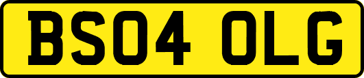 BS04OLG
