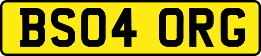 BS04ORG