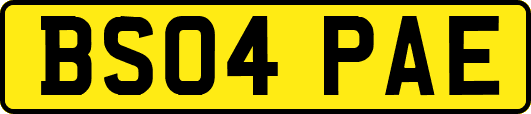 BS04PAE
