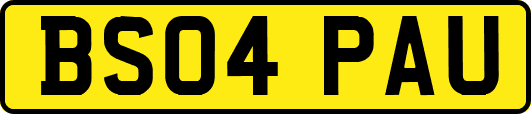 BS04PAU