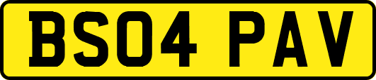 BS04PAV