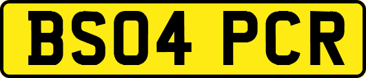 BS04PCR