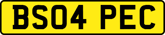 BS04PEC