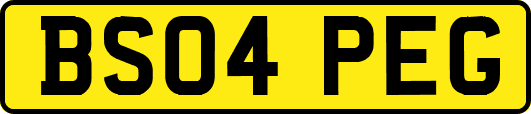 BS04PEG