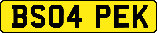BS04PEK