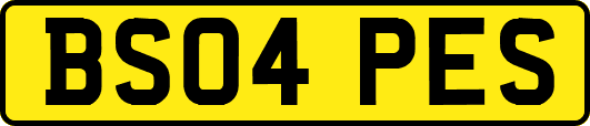 BS04PES