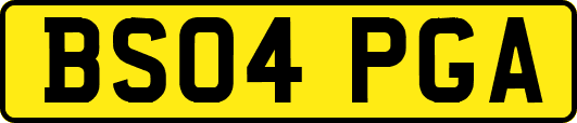 BS04PGA