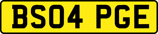 BS04PGE