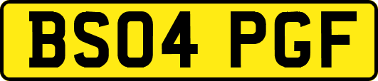 BS04PGF