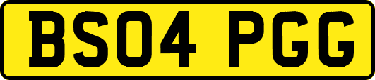 BS04PGG